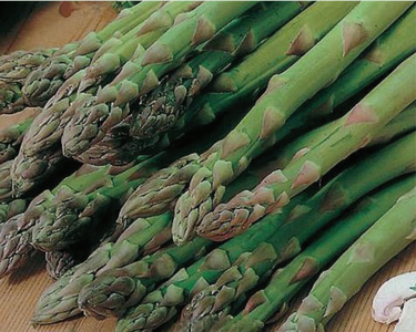 Mary Washington Asparagus Seeds